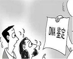 宁夏DNA鉴定在哪个医院可以做，宁夏办理亲子鉴定办理条件