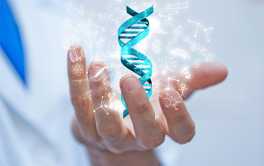 咸宁DNA亲子鉴定哪家机构更好,咸宁亲子鉴定条件和流程