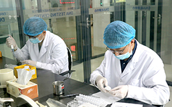 铁岭私密亲子鉴定需要的条件和材料有哪些，铁岭匿名亲子鉴定大概多少费用