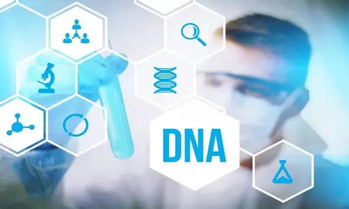 固原DNA亲子鉴定在哪家医院可以做,固原做亲子鉴定具体流程