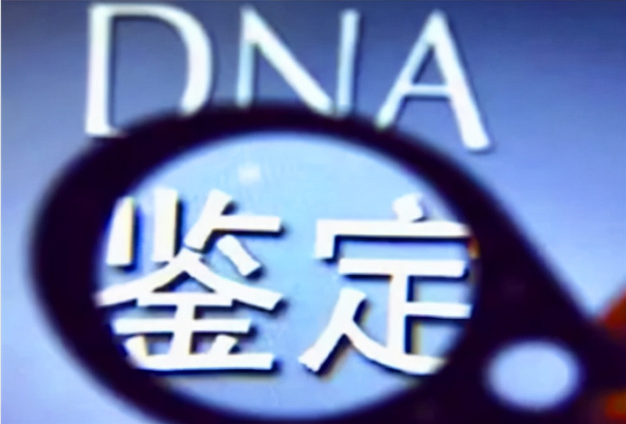 庆阳正规DNA鉴定机构,庆阳正规的血缘检测价格