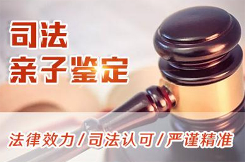 重庆司法DNA鉴定的流程,重庆司法DNA鉴定结果需要多久