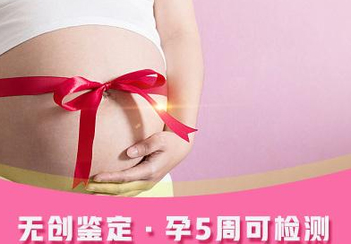 盘锦怀孕如何办理亲子鉴定,