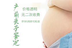 天津怀孕怎么做亲子鉴定，天津怀孕做亲子鉴定费用