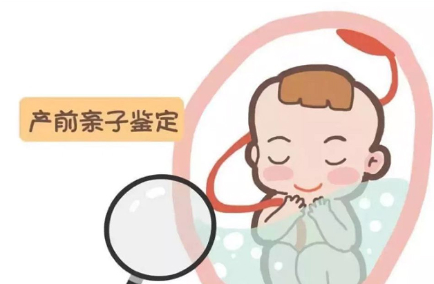 益阳怀孕怎么做亲子鉴定,益阳怀孕做亲子鉴定费用