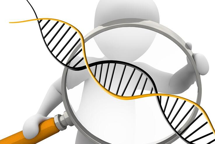丽江正规的DNA鉴定机构,丽江正规DNA亲子鉴定收费多少