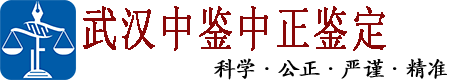 中鉴DNA亲子鉴定中心
